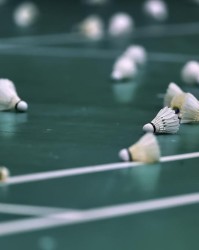 GA黄金甲体育官网-原料价格回落叠加人造球升级，羽毛球涨价潮终于止步回调